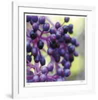 Berries 2-Ken Bremer-Framed Limited Edition