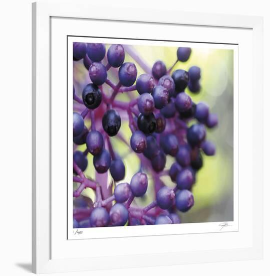 Berries 2-Ken Bremer-Framed Limited Edition