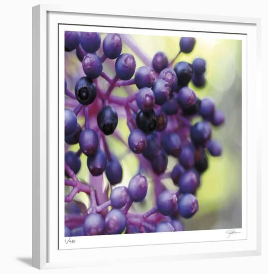 Berries 2-Ken Bremer-Framed Limited Edition