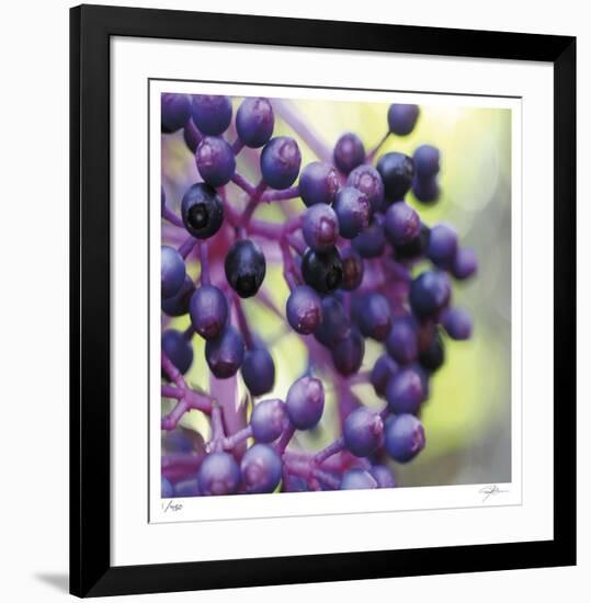 Berries 2-Ken Bremer-Framed Limited Edition