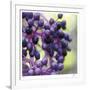 Berries 2-Ken Bremer-Framed Limited Edition