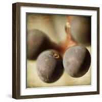 Berries 5-Jessica Rogers-Framed Giclee Print