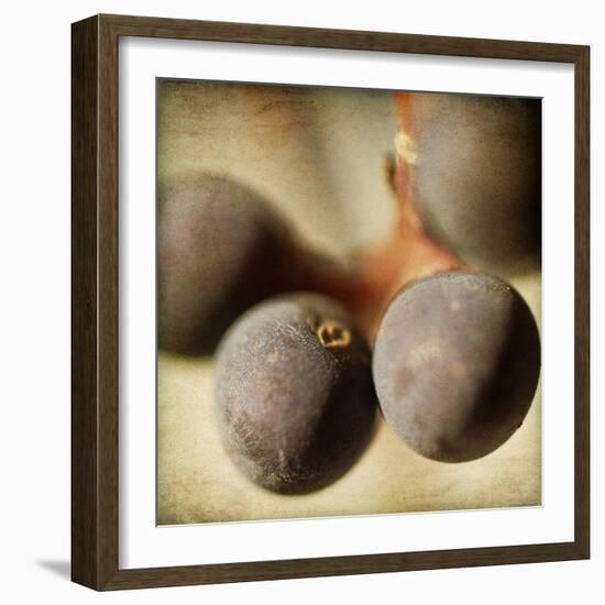 Berries 5-Jessica Rogers-Framed Giclee Print