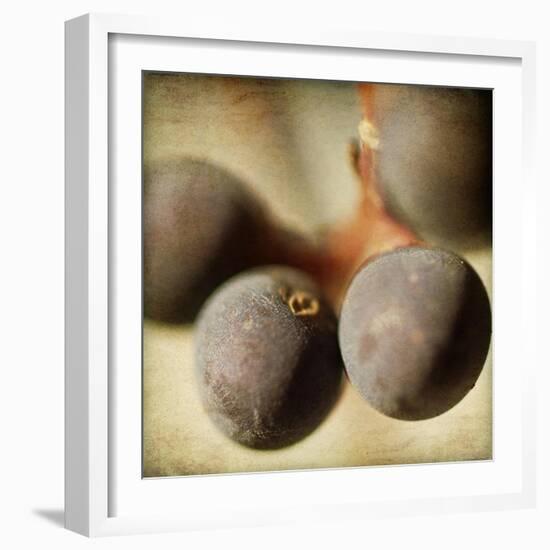 Berries 5-Jessica Rogers-Framed Giclee Print