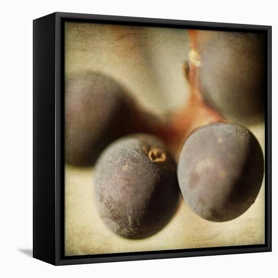 Berries 5-Jessica Rogers-Framed Stretched Canvas