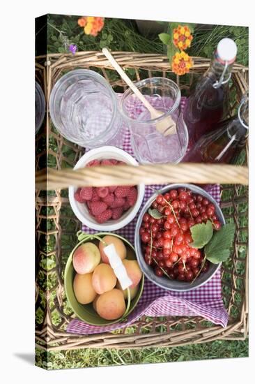 Berries, Apricots, Bottles of Juice and Jars in Basket-Eising Studio - Food Photo and Video-Stretched Canvas