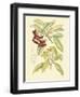 Berries & Blossoms I-Curtis-Framed Art Print