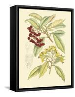 Berries & Blossoms I-Curtis-Framed Stretched Canvas