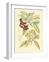 Berries & Blossoms I-Curtis-Framed Art Print