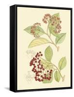 Berries & Blossoms II-Curtis-Framed Stretched Canvas