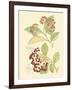 Berries & Blossoms II-Curtis-Framed Art Print