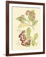 Berries & Blossoms II-Curtis-Framed Art Print