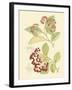 Berries & Blossoms II-Curtis-Framed Art Print