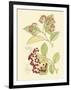 Berries & Blossoms II-Curtis-Framed Art Print