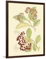 Berries & Blossoms II-Curtis-Framed Art Print