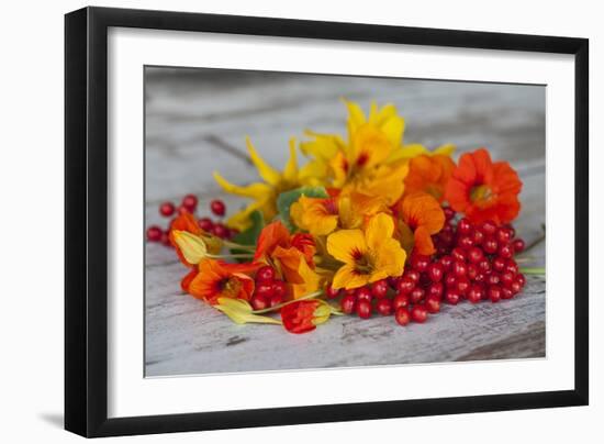 Berries, Blossoms, Nasturtium, Red, Yellow-Andrea Haase-Framed Photographic Print