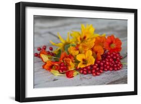 Berries, Blossoms, Nasturtium, Red, Yellow-Andrea Haase-Framed Photographic Print