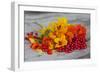 Berries, Blossoms, Nasturtium, Red, Yellow-Andrea Haase-Framed Photographic Print