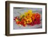 Berries, Blossoms, Nasturtium, Red, Yellow-Andrea Haase-Framed Photographic Print