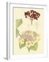 Berries & Blossoms V-Curtis-Framed Art Print