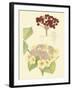 Berries & Blossoms V-Curtis-Framed Art Print