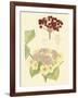 Berries & Blossoms V-Curtis-Framed Art Print