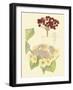 Berries & Blossoms V-Curtis-Framed Art Print