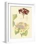 Berries & Blossoms V-Curtis-Framed Art Print