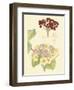 Berries & Blossoms V-Curtis-Framed Art Print