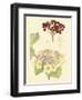 Berries & Blossoms V-Curtis-Framed Art Print