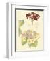 Berries & Blossoms V-Curtis-Framed Art Print