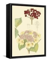 Berries & Blossoms V-Curtis-Framed Stretched Canvas