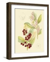 Berries & Blossoms VI-Curtis-Framed Art Print