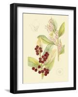 Berries & Blossoms VI-Curtis-Framed Art Print