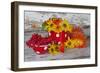 Berries, Flowers, Nasturtium, Red, Yellow-Andrea Haase-Framed Photographic Print