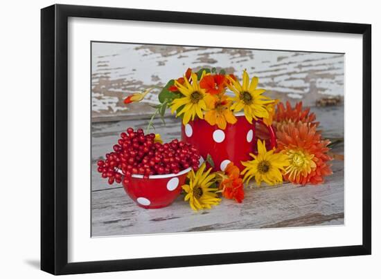 Berries, Flowers, Nasturtium, Red, Yellow-Andrea Haase-Framed Photographic Print