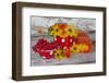 Berries, Flowers, Nasturtium, Red, Yellow-Andrea Haase-Framed Photographic Print