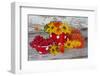 Berries, Flowers, Nasturtium, Red, Yellow-Andrea Haase-Framed Photographic Print