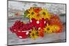 Berries, Flowers, Nasturtium, Red, Yellow-Andrea Haase-Mounted Photographic Print