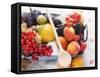 Berries, Fruit and Sugar-Eising Studio - Food Photo and Video-Framed Stretched Canvas