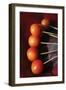 Berries I-Tammy Putman-Framed Photographic Print