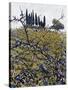 Berries In Autumn-Dorothy Berry-Lound-Stretched Canvas