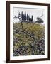 Berries In Autumn-Dorothy Berry-Lound-Framed Giclee Print