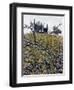 Berries In Autumn-Dorothy Berry-Lound-Framed Giclee Print