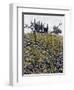 Berries In Autumn-Dorothy Berry-Lound-Framed Giclee Print