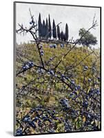 Berries In Autumn-Dorothy Berry-Lound-Mounted Giclee Print