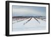 Berries under Snow I-Dana Styber-Framed Photographic Print