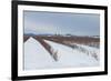 Berries under Snow II-Dana Styber-Framed Photographic Print