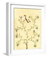 Berry Bird I-Virginia A. Roper-Framed Art Print