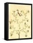 Berry Bird I-Virginia A. Roper-Framed Stretched Canvas